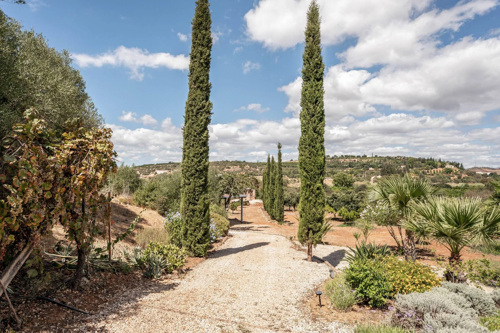 A gravel path lined with tall cypress trees leading through the garden, with the Algarve hills beyond.